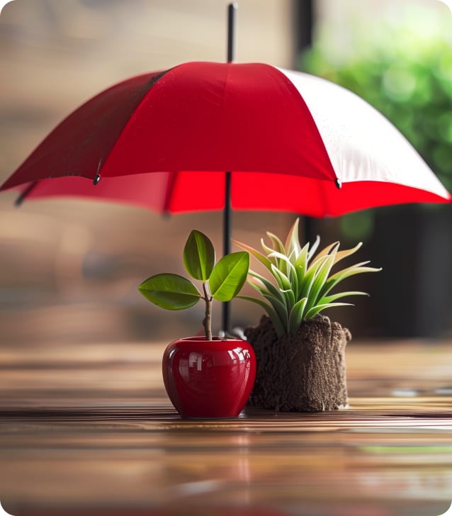 image of umbrella